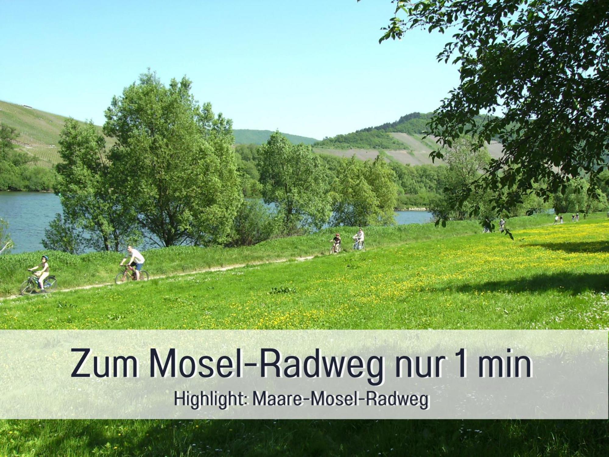 Ferienhaus Schwaab-Scherr, Genau Zwischen Bernkastel-Kues Und Traben-Trarbach, Mit Kostenlosem Oepnv-Ticket Fuer Bus Und Bahn, Parkplaetzen, Fahrradgarage Und Vielen Tipps Erden Dış mekan fotoğraf