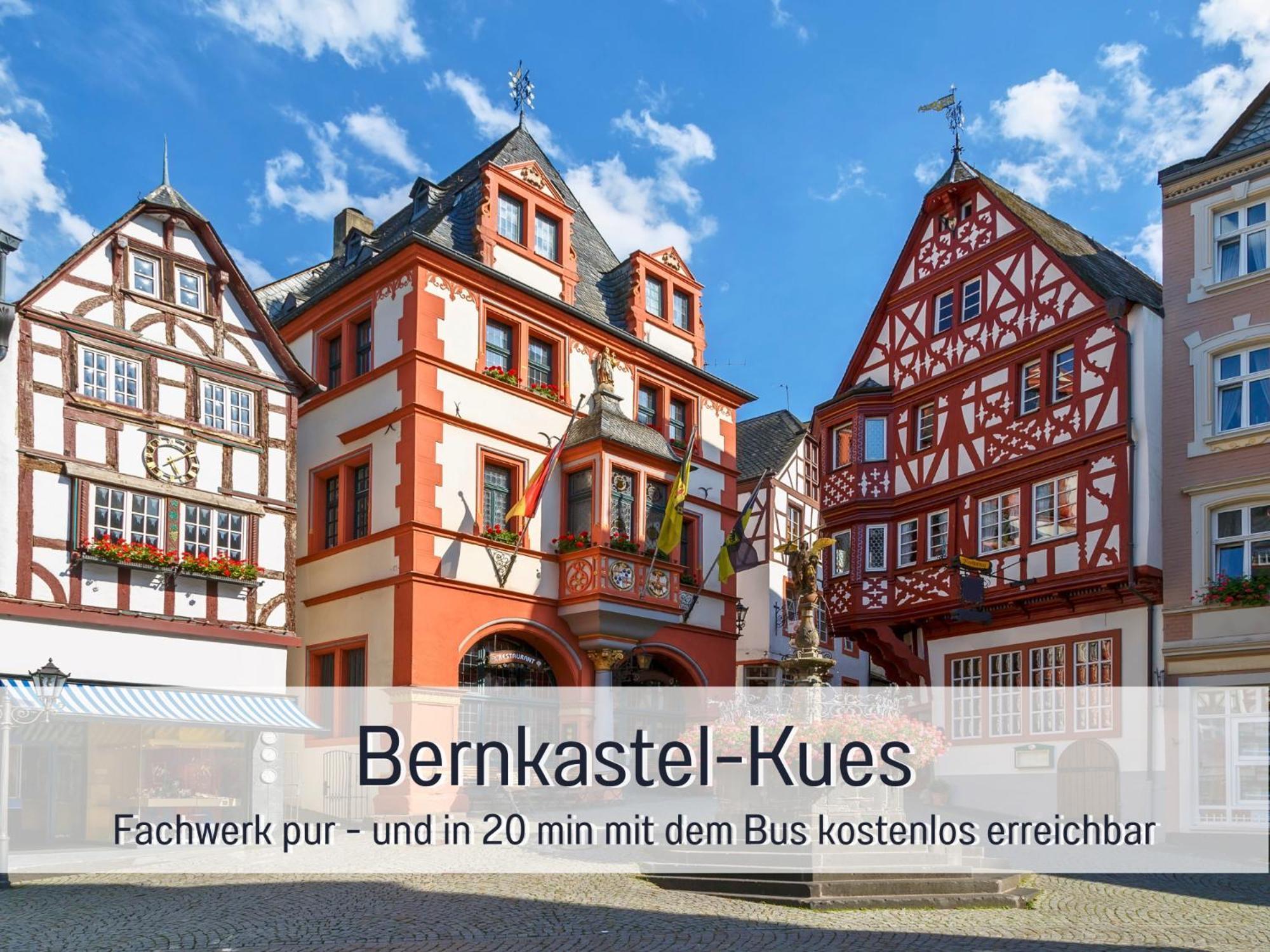 Ferienhaus Schwaab-Scherr, Genau Zwischen Bernkastel-Kues Und Traben-Trarbach, Mit Kostenlosem Oepnv-Ticket Fuer Bus Und Bahn, Parkplaetzen, Fahrradgarage Und Vielen Tipps Erden Dış mekan fotoğraf