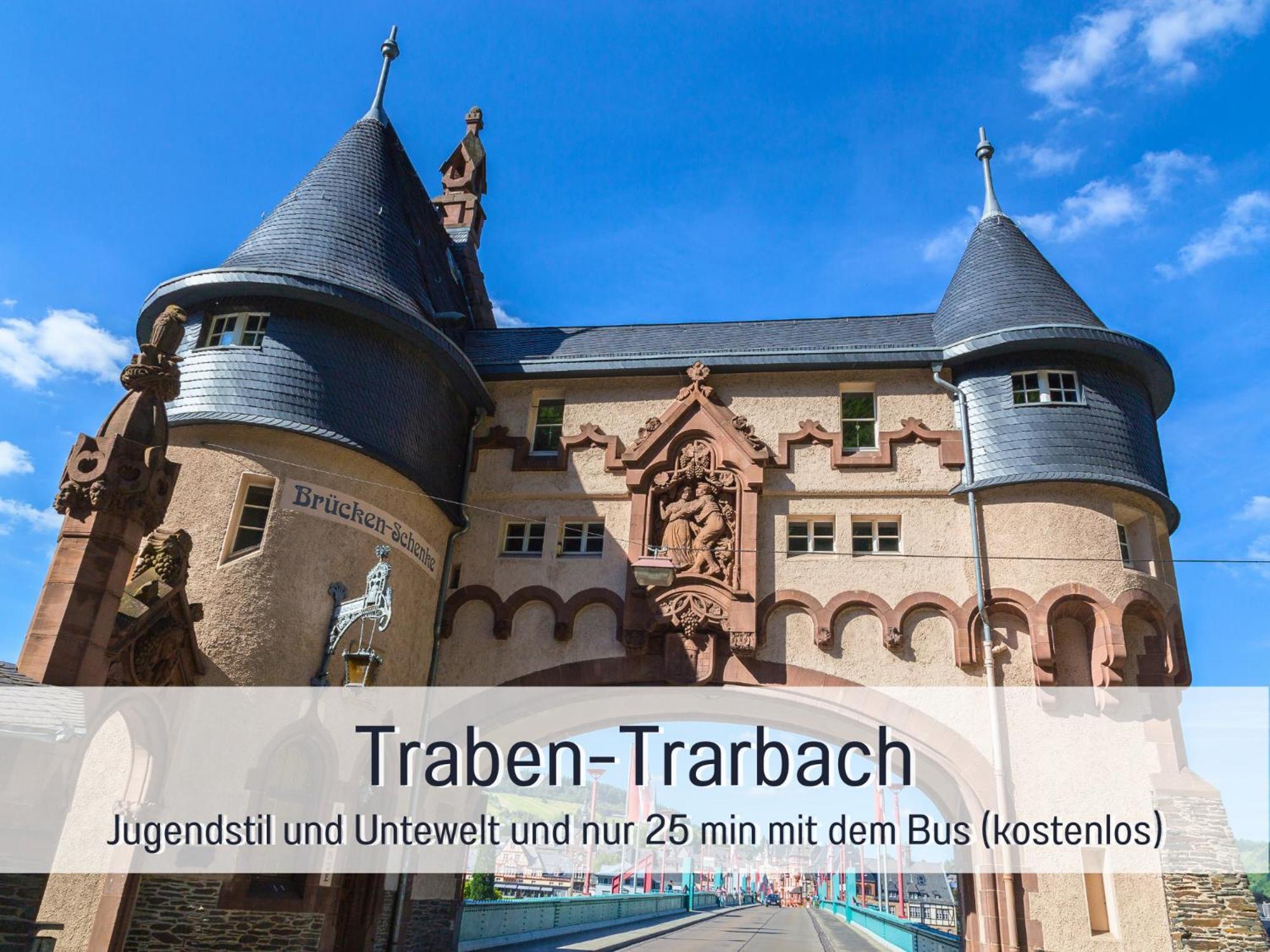 Ferienhaus Schwaab-Scherr, Genau Zwischen Bernkastel-Kues Und Traben-Trarbach, Mit Kostenlosem Oepnv-Ticket Fuer Bus Und Bahn, Parkplaetzen, Fahrradgarage Und Vielen Tipps Erden Dış mekan fotoğraf