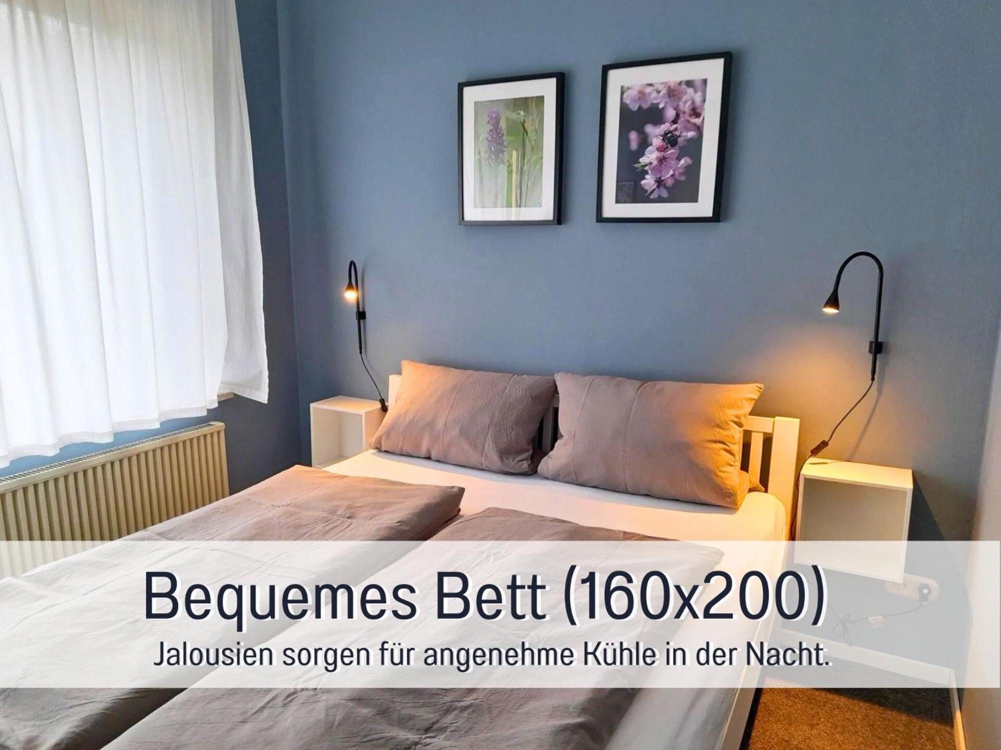 Ferienhaus Schwaab-Scherr, Genau Zwischen Bernkastel-Kues Und Traben-Trarbach, Mit Kostenlosem Oepnv-Ticket Fuer Bus Und Bahn, Parkplaetzen, Fahrradgarage Und Vielen Tipps Erden Dış mekan fotoğraf