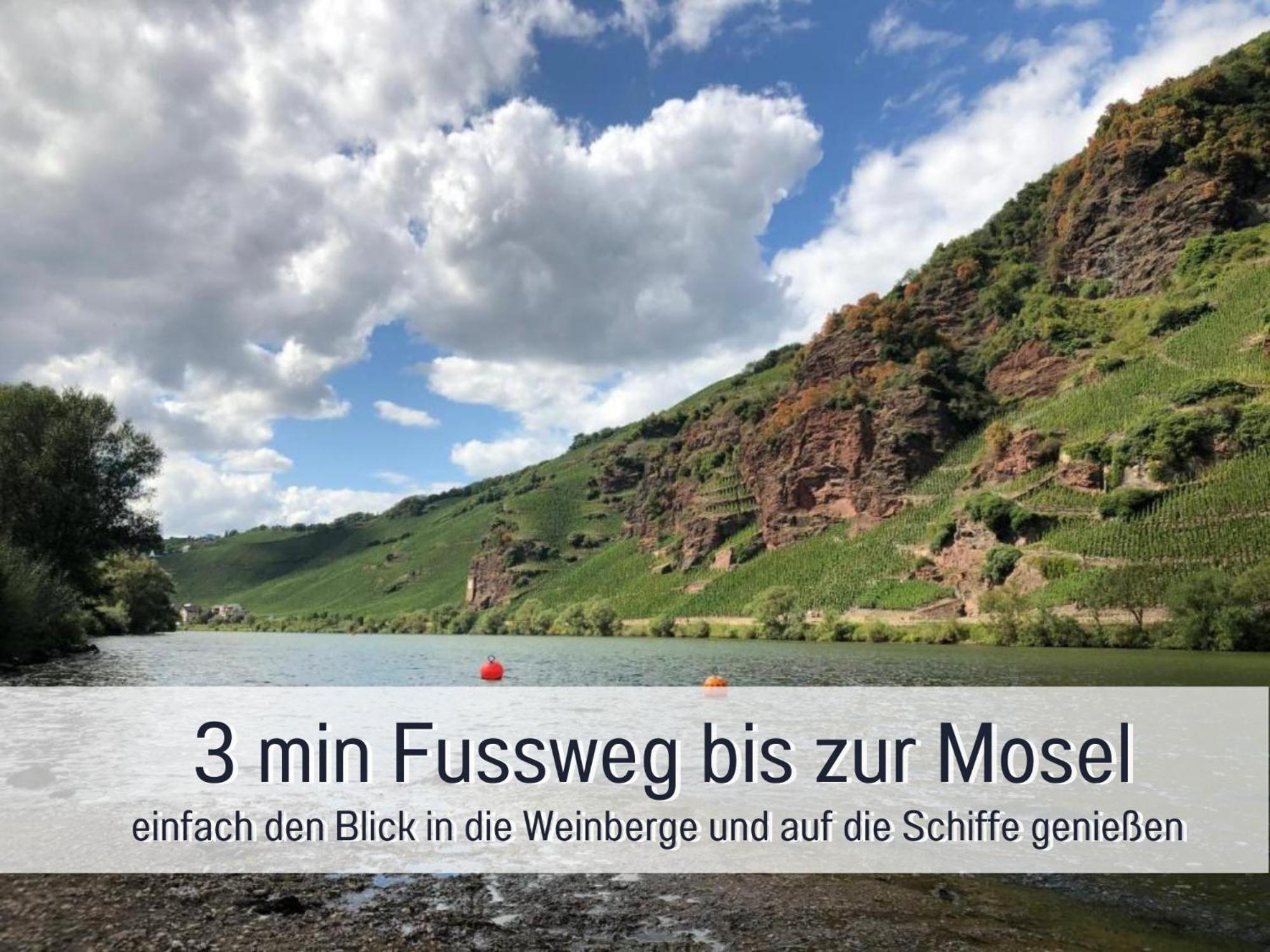 Ferienhaus Schwaab-Scherr, Genau Zwischen Bernkastel-Kues Und Traben-Trarbach, Mit Kostenlosem Oepnv-Ticket Fuer Bus Und Bahn, Parkplaetzen, Fahrradgarage Und Vielen Tipps Erden Dış mekan fotoğraf