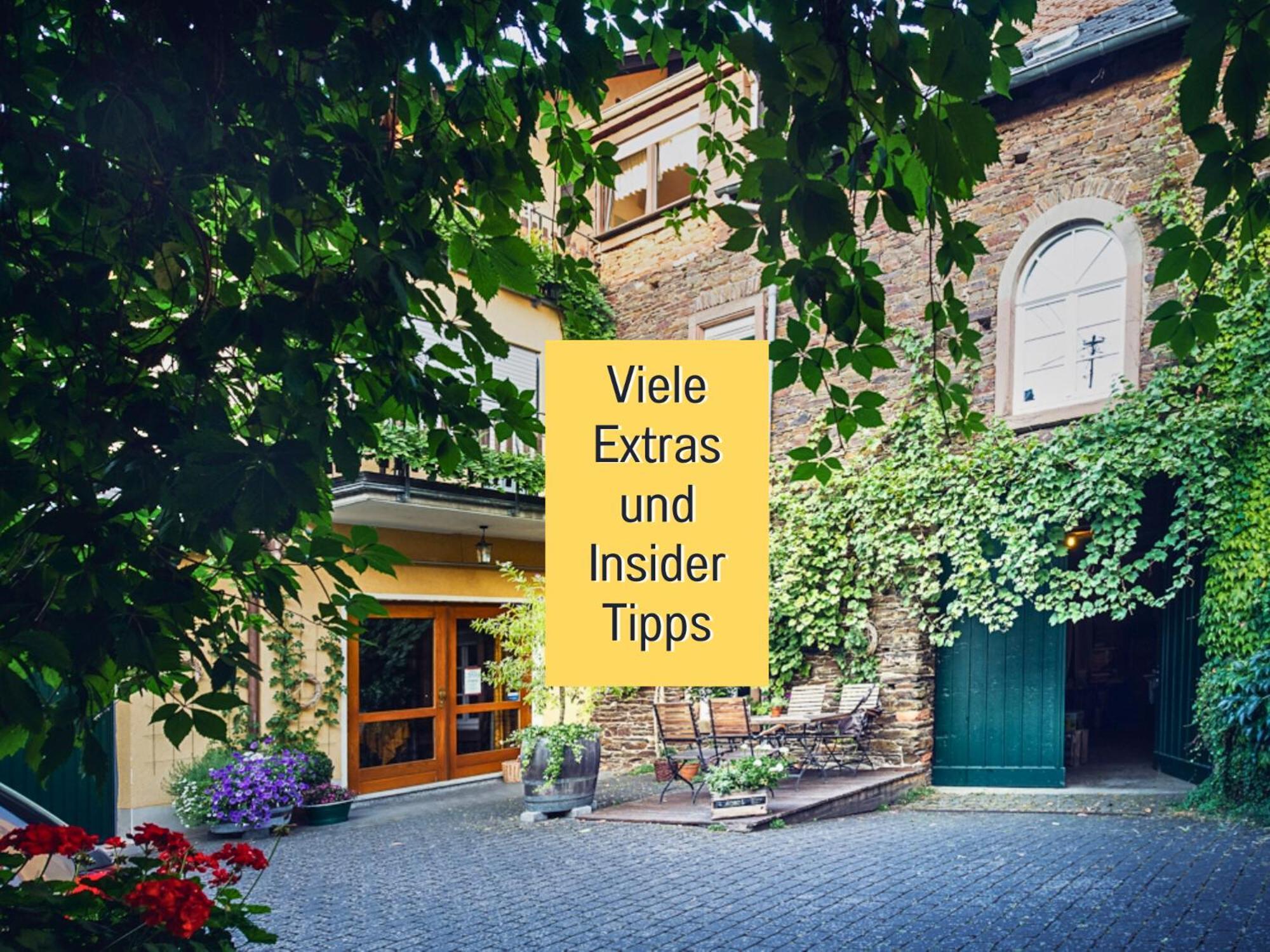 Ferienhaus Schwaab-Scherr, Genau Zwischen Bernkastel-Kues Und Traben-Trarbach, Mit Kostenlosem Oepnv-Ticket Fuer Bus Und Bahn, Parkplaetzen, Fahrradgarage Und Vielen Tipps Erden Dış mekan fotoğraf